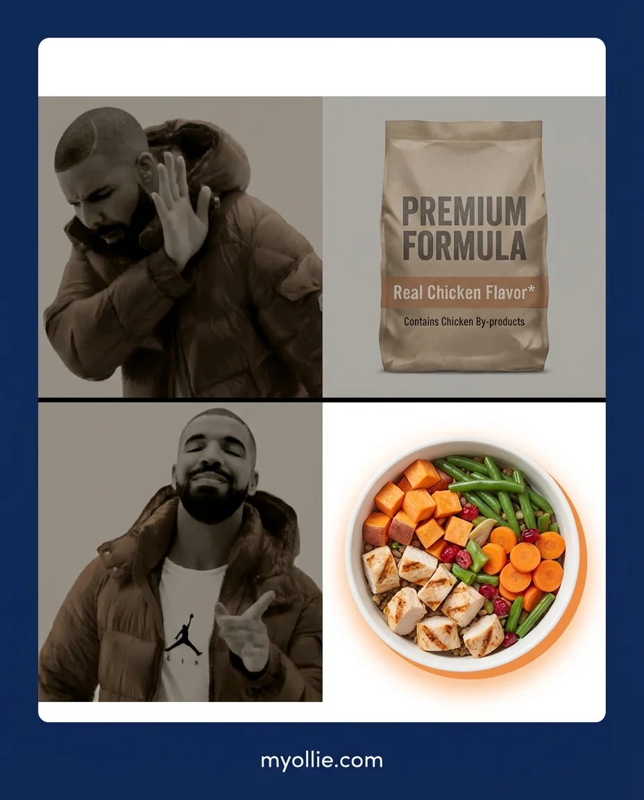 Ollie Meme ad — When you realize kibble ingredients wouldn't pass your own kitchen test